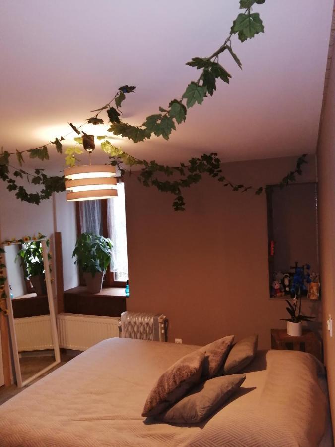 "Les Chaillottes" Chailles  Luaran gambar